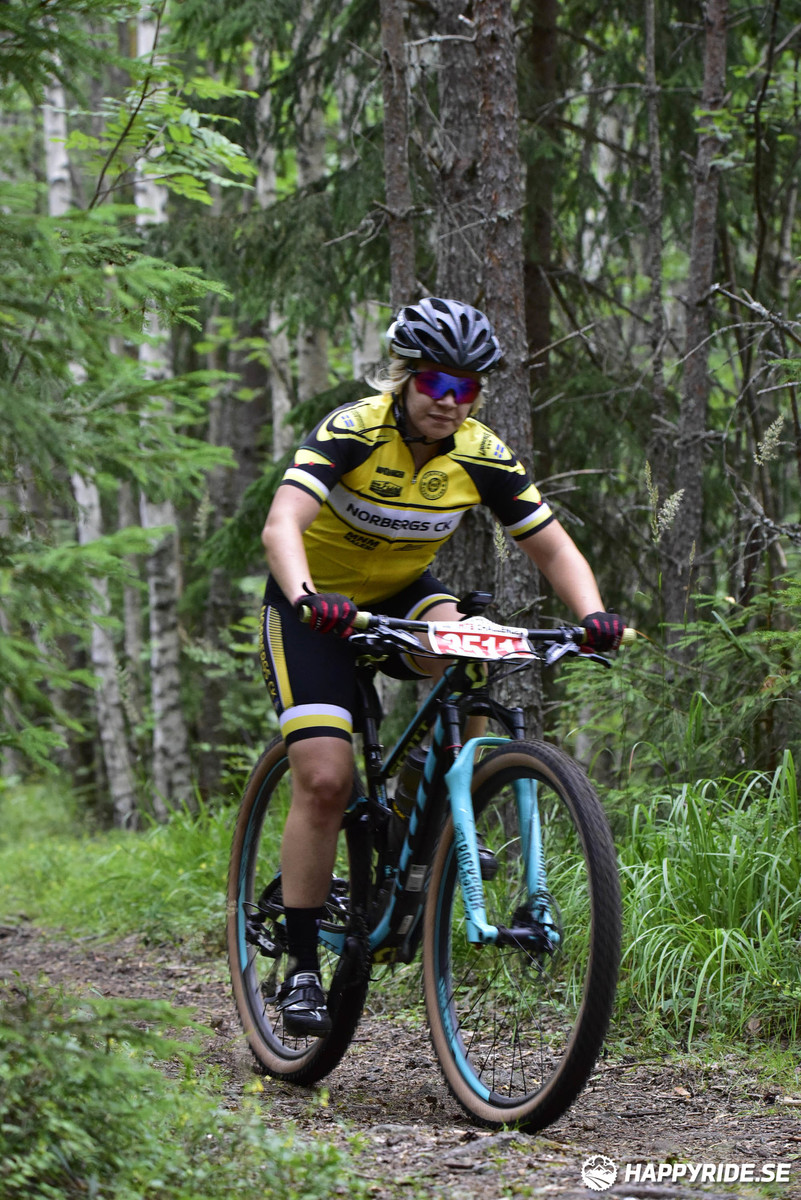 Bild från Engelbrektsturen 2019